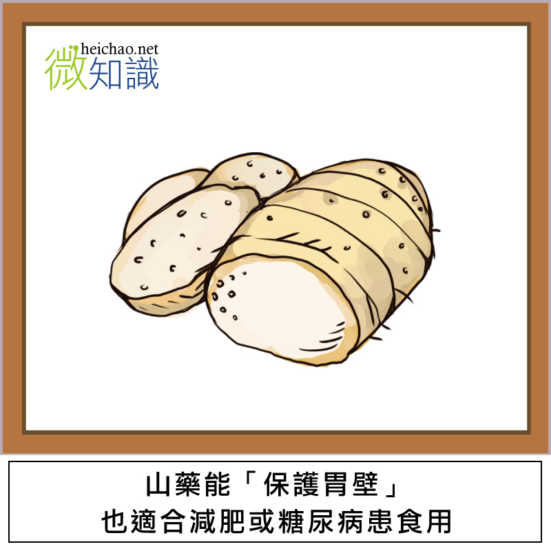 【微飲食】進補新選擇-山藥