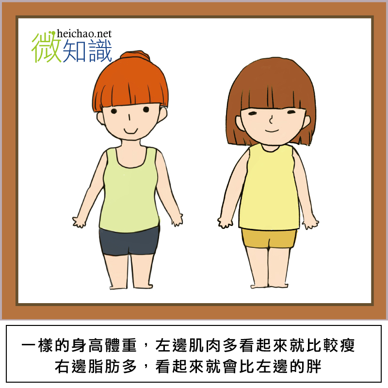 【微知識】肥胖是肉太多? 脂肪跟肌肉體積比較