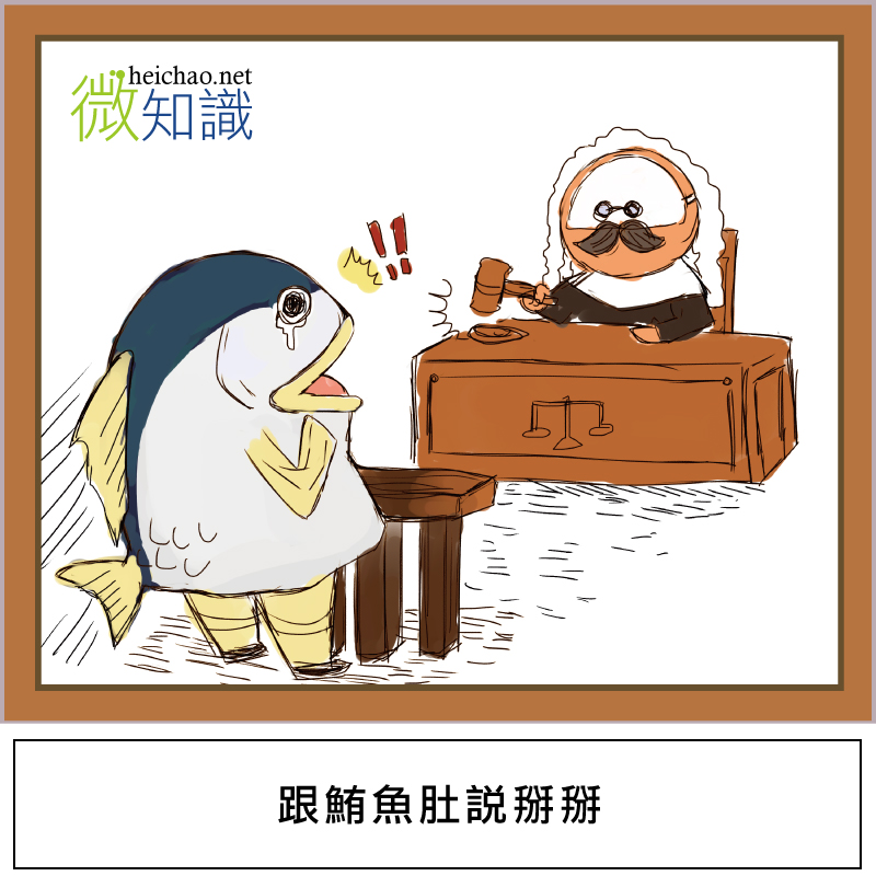 【微知識】該好好幫爸爸消一下啤酒肚(鮪魚肚)了