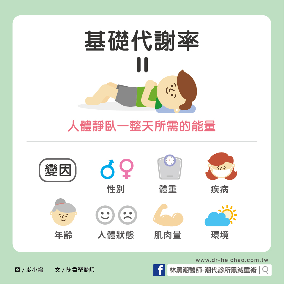 了解基礎代謝率 創造能量負平衡為減肥的不二法門 文 陳韋螢醫師 想減肥
