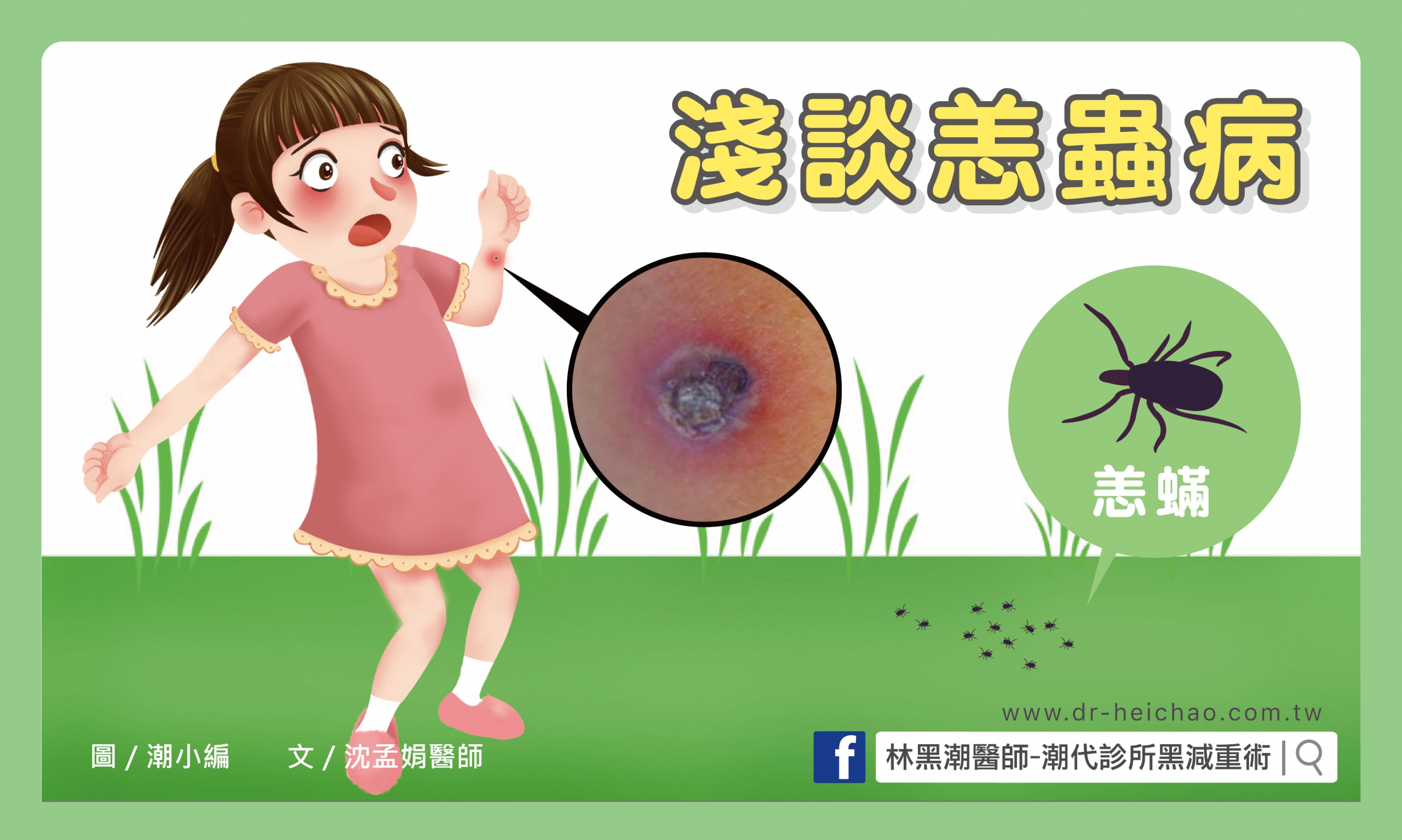 淺談恙蟲病／文：沈孟娟醫師
