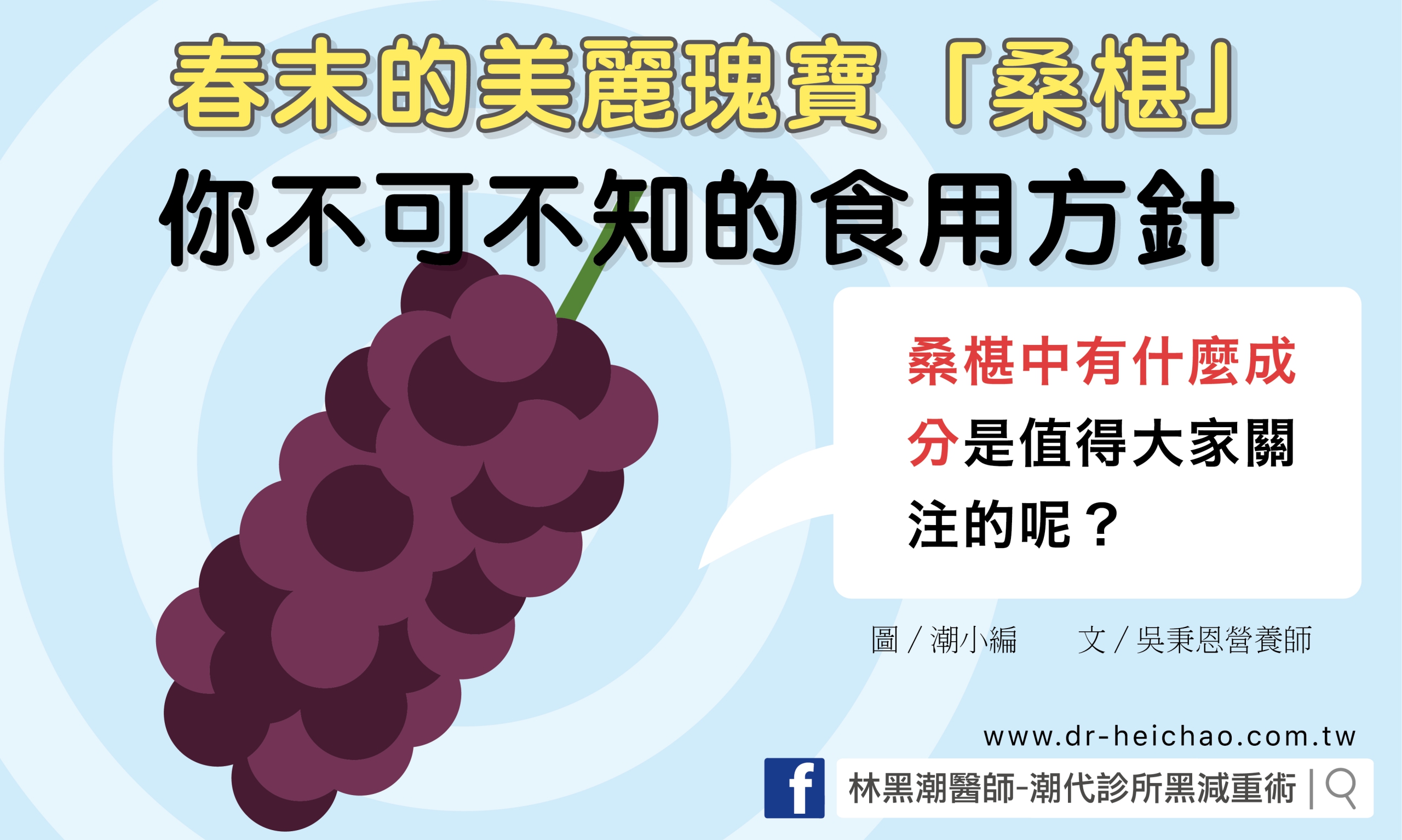 春末的美麗瑰寶「桑椹」，你不可不知的食用方針／文：吳秉恩營養師